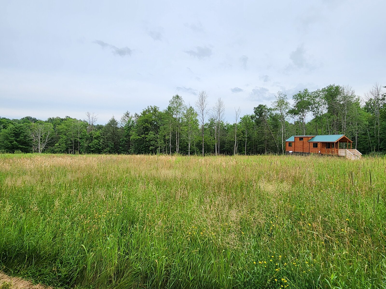 The cabin across the summer meadow in tall grass