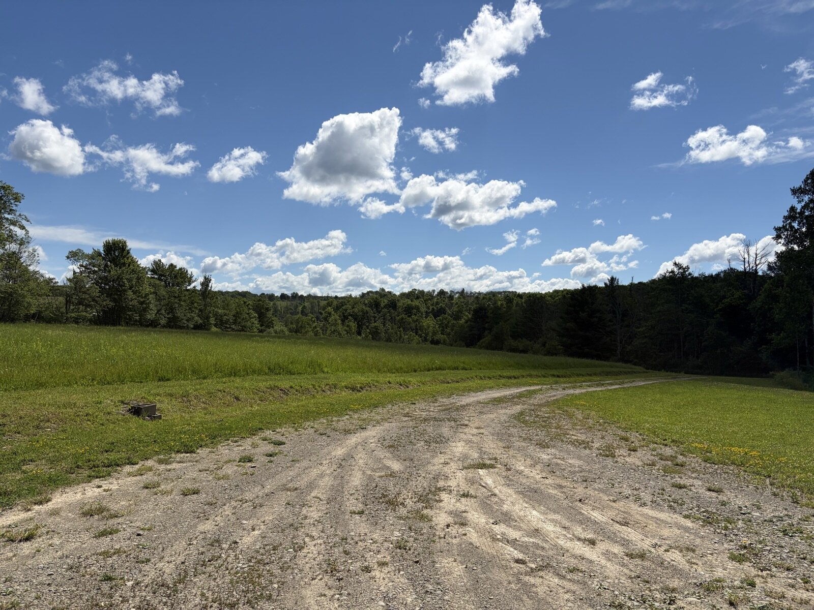 The gravel drive winding through the meadow