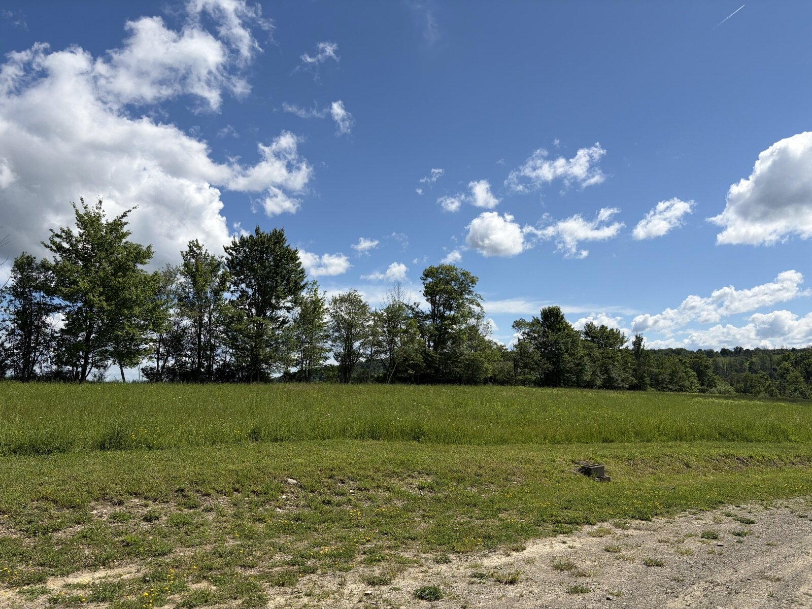 Open meadow under a bright blue sky with clouds