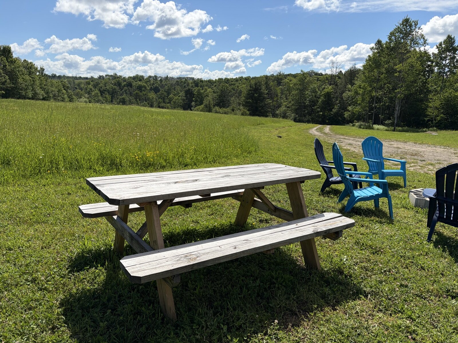 Picnic table with the meadow and hills beyond